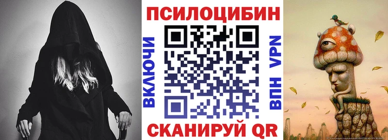Купить где  Шатура  Псилоцибиновые грибы Cubensis 